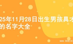 2025年11月28日出生男孩具才华的名字大全
