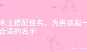 寻木土搭配佳名，为男孩起一个合适的名字