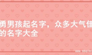 英勇男孩起名字，众多大气佳名的名字大全