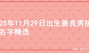 2025年11月29日出生善良男孩的名字精选