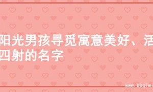 为阳光男孩寻觅寓意美好、活力四射的名字