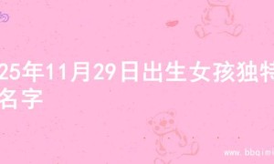 2025年11月29日出生女孩独特的名字
