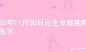 2025年11月30日出生女孩独特的名字