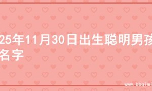 2025年11月30日出生聪明男孩的名字