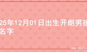 2025年12月01日出生开朗男孩的名字