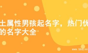 火土属性男孩起名字，热门优质的名字大全