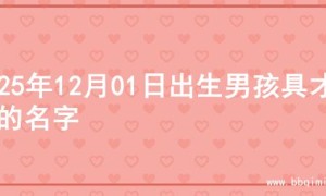 2025年12月01日出生男孩具才华的名字
