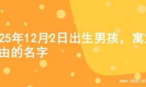 2025年12月2日出生男孩，寓意自由的名字
