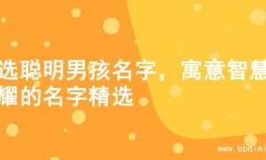 精选聪明男孩名字，寓意智慧闪耀的名字精选