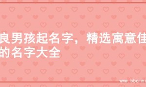 善良男孩起名字，精选寓意佳名的名字大全