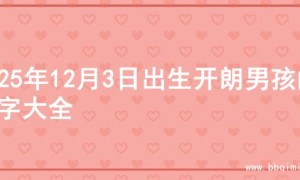 2025年12月3日出生开朗男孩的名字大全