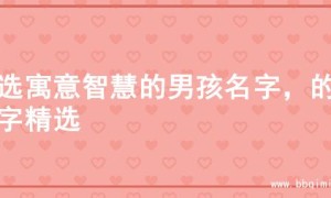 精选寓意智慧的男孩名字，的名字精选