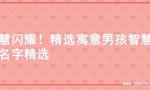 智慧闪耀！精选寓意男孩智慧的名字精选