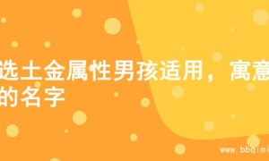 精选土金属性男孩适用，寓意佳的名字