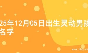 2025年12月05日出生灵动男孩的名字