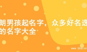 开朗男孩起名字，众多好名选择的名字大全