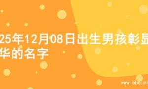2025年12月08日出生男孩彰显才华的名字