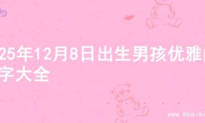2025年12月8日出生男孩优雅的名字大全
