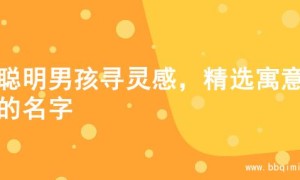 为聪明男孩寻灵感，精选寓意佳的名字