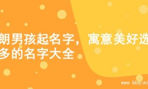 开朗男孩起名字，寓意美好选择多的名字大全