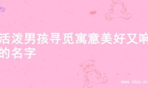 为活泼男孩寻觅寓意美好又响亮的名字