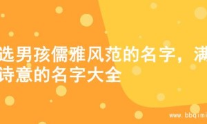 精选男孩儒雅风范的名字，满满诗意的名字大全