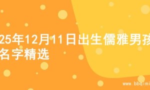 2025年12月11日出生儒雅男孩的名字精选