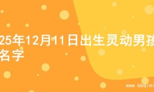 2025年12月11日出生灵动男孩的名字