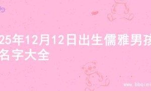 2025年12月12日出生儒雅男孩的名字大全