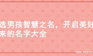 精选男孩智慧之名，开启美好未来的名字大全