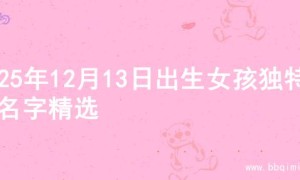 2025年12月13日出生女孩独特的名字精选