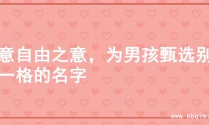 寓意自由之意，为男孩甄选别具一格的名字