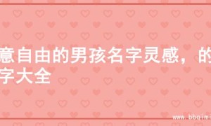 寓意自由的男孩名字灵感，的名字大全