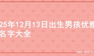 2025年12月13日出生男孩优雅的名字大全