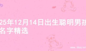 2025年12月14日出生聪明男孩的名字精选