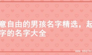 寓意自由的男孩名字精选，起名字的名字大全