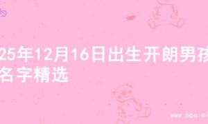 2025年12月16日出生开朗男孩的名字精选