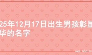2025年12月17日出生男孩彰显才华的名字