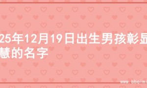 2025年12月19日出生男孩彰显智慧的名字