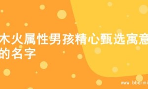 为木火属性男孩精心甄选寓意佳的名字