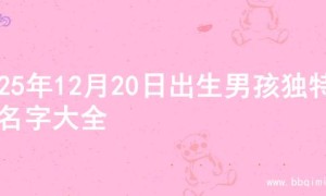 2025年12月20日出生男孩独特的名字大全