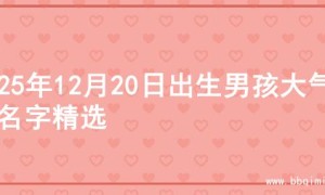 2025年12月20日出生男孩大气的名字精选