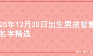 2025年12月20日出生男孩智慧的名字精选