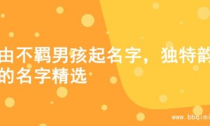 自由不羁男孩起名字，独特韵味的名字精选