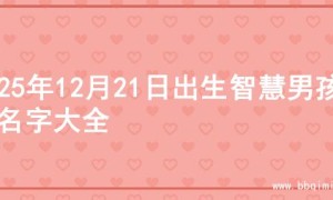 2025年12月21日出生智慧男孩的名字大全
