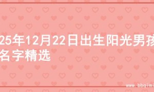2025年12月22日出生阳光男孩的名字精选