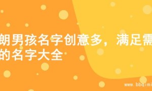 开朗男孩名字创意多，满足需求的名字大全