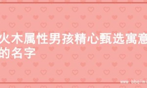 为火木属性男孩精心甄选寓意佳的名字
