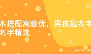 金木搭配寓意优，男孩起名字的名字精选