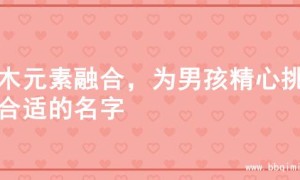 金木元素融合，为男孩精心挑选合适的名字
